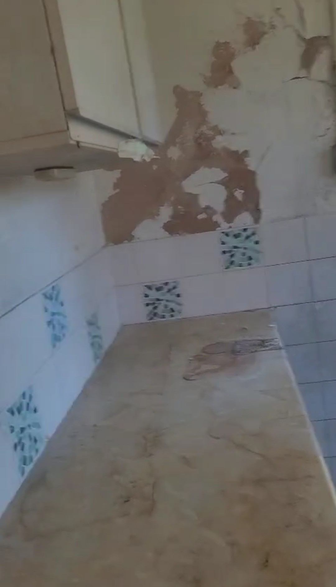 Kitchen damp before renovation